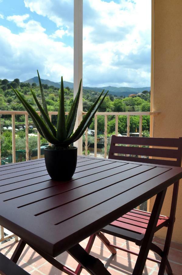 Ibanova Appartements Collioure Dış mekan fotoğraf